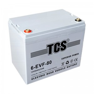 TCS电动蹊径车电池6-EVF-80