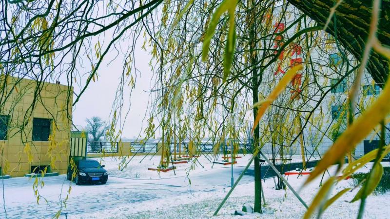 “点亮梦想。放飞希望”摄影大赛