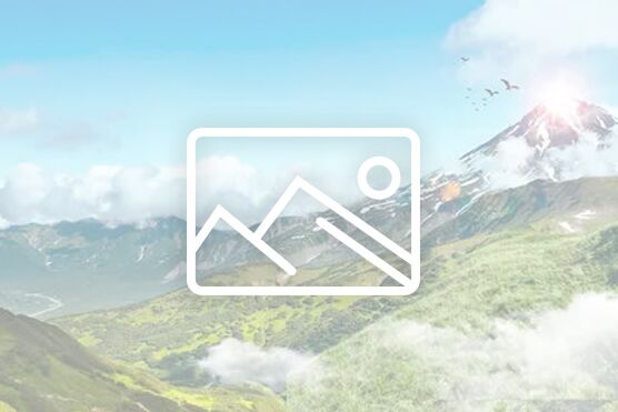 Z6尊龙·凯时(官网)人生就是博!