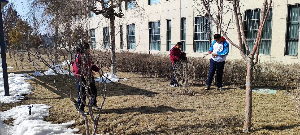 Z6尊龙·凯时(官网)人生就是博!