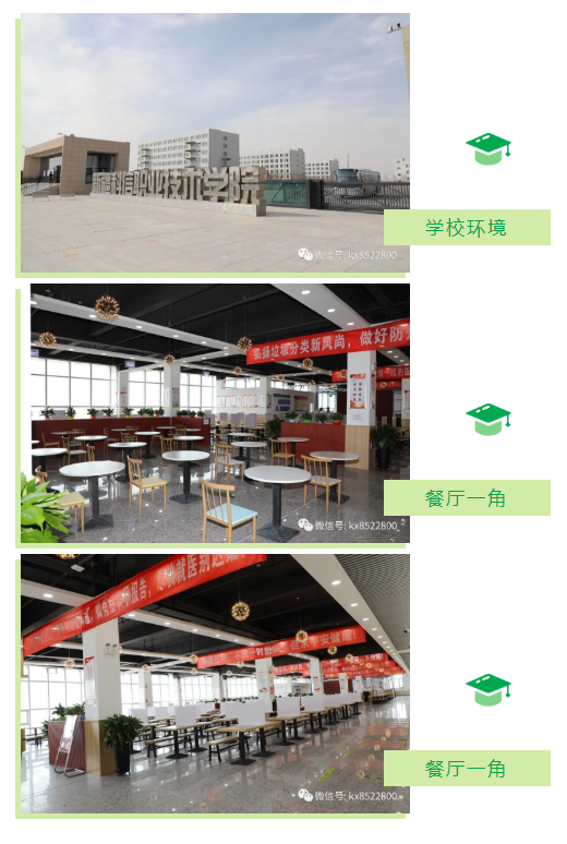 Z6尊龙凯时2020年单招招生简章！高校代码：14679!